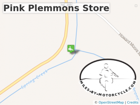 Pink Plemmons Store