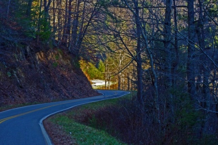 Meadow Fork Road