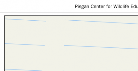 Pisgah Center for Wildlife Education & Fish Hatchery - Visitors Information Center 