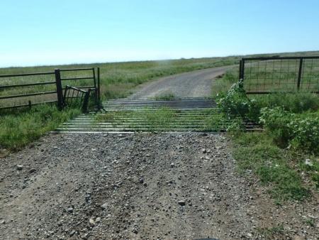 Cattle Gate
