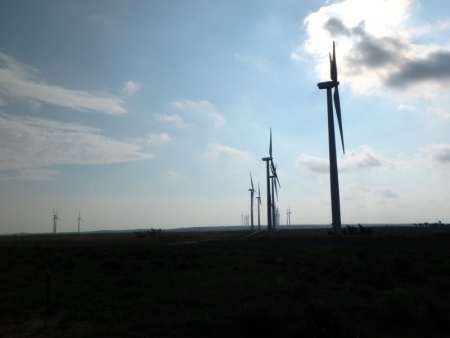Windmills at Morning