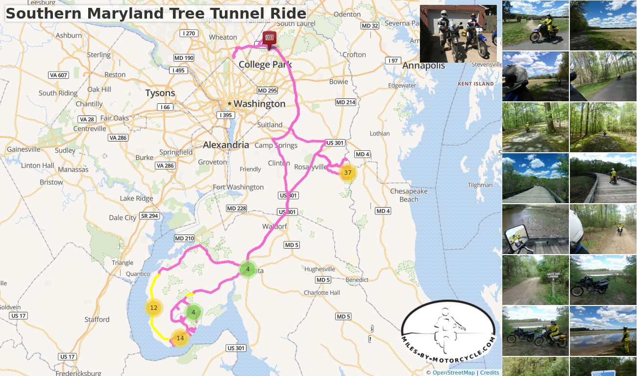 Southern Maryland Tree Tunnel Ride