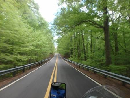 Tree Tunnel Ride