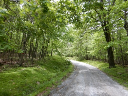 Michaux State Forest Gravel Roads Ride