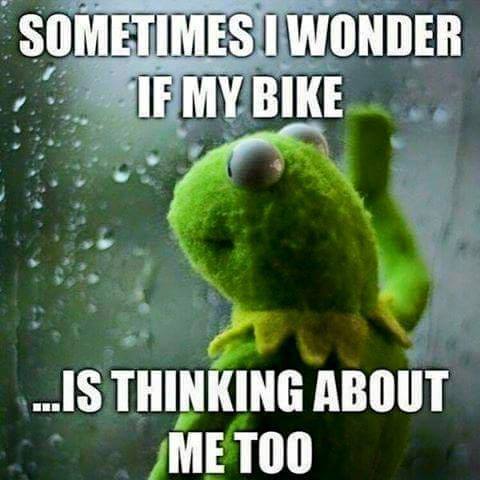 I wonder if ...