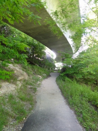 Linn Cove Viaduct from underneath