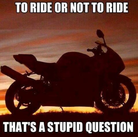 To Ride or Not To Ride